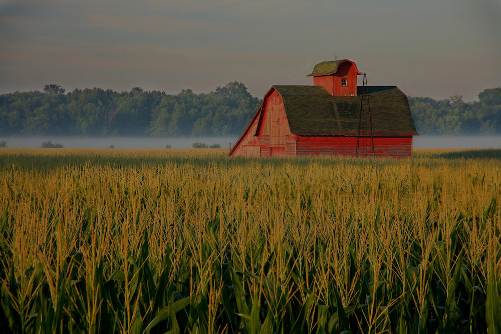 farm and crop insurance Sidney, Iowa